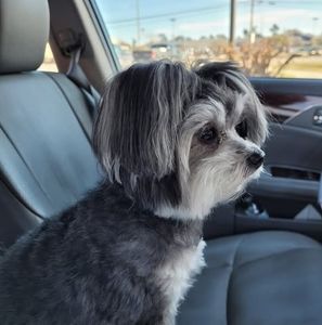 Meet your Posher, Kathy